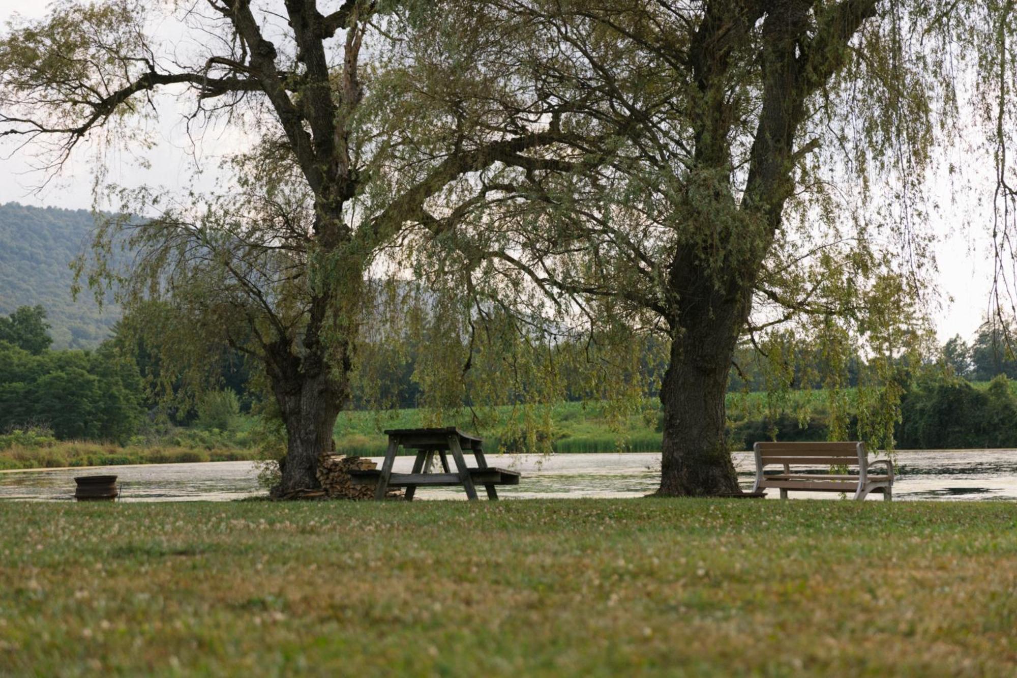 Route 6 Campground Gaines Cameră foto